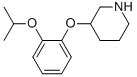 3-(2-ISOPROPOXY-PHENOXY)-PIPERIDINE CAS#: 902837-37-0