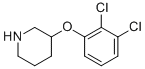 3-(2,3-DICHLOROPHENOXY)PIPERIDINE CAS#: 946714-21-2