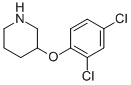 3-(2,4-DICHLOROPHENOXY)PIPERIDINE CAS#: 946725-72-0