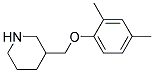 3-[(2,4-DIMETHYLPHENOXY)METHYL]PIPERIDINE CAS#: 946713-14-0