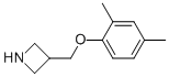 3-(2,4-Dimethyl-phenoxymethyl)-azetidine CAS#: 954223-25-7