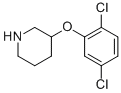 3-(2,5-DICHLOROPHENOXY)PIPERIDINE CAS#: 946759-06-4