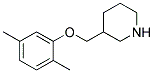3-[(2,5-DIMETHYLPHENOXY)METHYL]PIPERIDINE CAS#: 946787-23-1