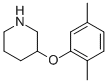 3-(2,5-DIMETHYLPHENOXY)PIPERIDINE CAS#: 946681-05-6