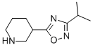 3-[3-(1-methylethyl)-1,2,4-oxadiazol-5-yl]piperidine CAS#: 902837-19-8