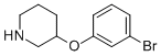 3-(3-BROMOPHENOXY)PIPERIDINE CAS#: 946681-09-0