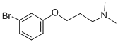 3-(3-Bromophenoxy)-N,N-dimethylpropylamine CAS#: 912569-57-4