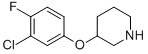 3-(3-CHLORO-4-FLUOROPHENOXY)PIPERIDINE CAS#: 946759-15-5