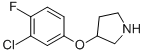 3-(3-CHLORO-4-FLUOROPHENOXY)PYRROLIDINE CAS#: 946726-78-9