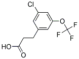 3-[3-CHLORO-5-(TRIFLUOROMETHOXY)PHENYL]PROPIONIC ACID CAS#: 916420-74-1