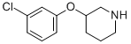3-(3-CHLOROPHENOXY)PIPERIDINE CAS#: 902837-32-5