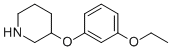 3-(3-ETHOXYPHENOXY)PIPERIDINE CAS#: 946714-65-4