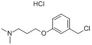 3-[3-(chloromethyl)phenoxy]-n,n-dimethylpropylamine hydrochloride CAS#: 926921-62-2
