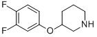 3-(3,4-DIFLUOROPHENOXY)PIPERIDINE CAS#: 946714-62-1