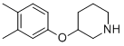 3-(3,4-DIMETHYLPHENOXY)PIPERIDINE CAS#: 946725-92-4