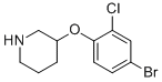 3-(4-Bromo-2-chloro-phenoxy)-piperidine CAS#: 954226-28-9