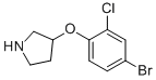 3-(4-Bromo-2-chloro-phenoxy)-pyrrolidine CAS#: 954226-32-5