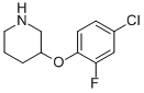 3-(4-CHLORO-2-FLUOROPHENOXY)PIPERIDINE CAS#: 946726-21-2