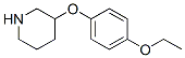 3-(4-ETHOXYPHENOXY)PIPERIDINE CAS#: 946714-47-2