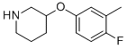 3-(4-Fluoro-3-methyl-phenoxy)-piperidine CAS#: 954225-94-6