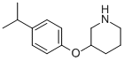 3-(4-ISOPROPYLPHENOXY)PIPERIDINE CAS#: 946726-03-0