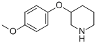 3-(4-METHOXYPHENOXY)PIPERIDINE CAS#: 902837-31-4