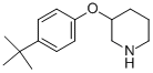 3-[4-(TERT-BUTYL)PHENOXY]PIPERIDINE CAS#: 946714-50-7