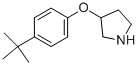 3-[4-(TERT-BUTYL)PHENOXY]PYRROLIDINE CAS#: 946715-50-0