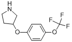 3-[4-(TRIFLUOROMETHOXY)PHENOXY]PYRROLIDINE CAS#: 946715-68-0