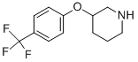 3-[4-(TRIFLUOROMETHYL)PHENOXY]PIPERIDINE CAS#: 902836-91-3