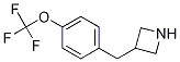 3-[[(4-TrifluoroMethoxy)phenyl]Methyl]azetidine CAS#: 937621-11-9