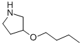 3-BUTOXYPYRROLIDINE CAS#: 946715-13-5