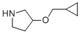 3-(CYCLOPROPYLMETHOXY)PYRROLIDINE CAS#: 932702-41-5