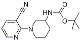 (3'-Cyano-3,4,5,6-tetrahydro-2H-[1,2']bipyridinyl-3-yl)-carbaMic acid tert-butyl ester, 98+% C16H22N4O2, 分子量 302.37 CAS#: 939986-24-0