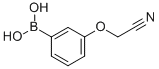 3-Cyanomethoxyphenylboronic acid CAS#: 947533-25-7