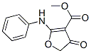 3-Furancarboxylic  acid,  4,5-dihydro-4-oxo-2-(phenylamino)-,  methyl  ester CAS#: 937669-57-3