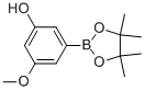 3-METHOXY-5-(4,4,5,5-TETRAMETHYL-1,3,2-DIOXABOROLAN-2-YL)PHENOL CAS#: 906008-22-8