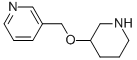 3-[(PIPERIDIN-3-YLOXY)METHYL]PYRIDINE CAS#: 933758-64-6