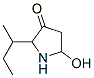 3-Pyrrolidinone, 5-hydroxy-2-(1-methylpropyl)- CAS#: 903517-08-8
