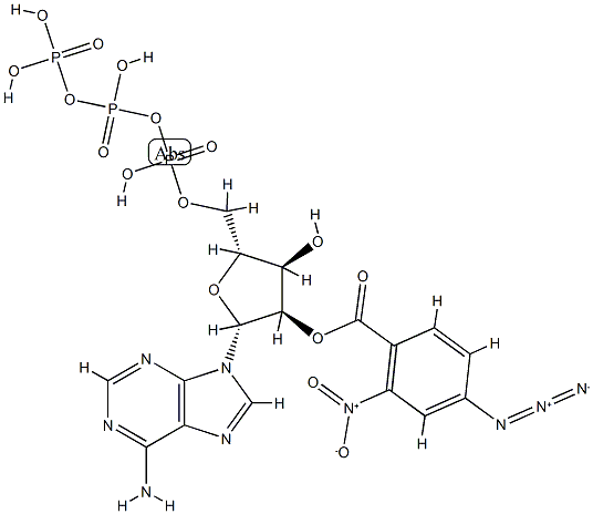 3'(2')-O-(2-nitro-4-azidobenzoyl)adenosine 5'-triphosphate CAS#: 99308-34-6