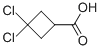 3,3-DICHLOROCYCLOBUTANECARBOXYLIC ACID CAS#: 915185-89-6