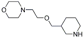 4-[2-(3-PIPERIDINYLMETHOXY)ETHYL]MORPHOLINE CAS#: 946713-06-0