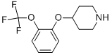 4-(2-TRIFLUOROMETHOXY-PHENOXY)-PIPERIDINE CAS#: 902836-49-1