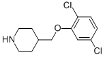 4-[(2,5-DICHLOROPHENOXY)METHYL]PIPERIDINE CAS#: 946680-60-0