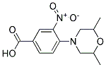 4-(2,6-DIMETHYLMORPHOLIN-4-YL)-3-NITROBENZOIC ACID CAS#: 942474-64-8