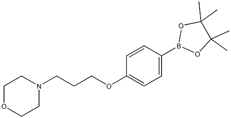4-(3-(4-(4,4,5,5-tetramethyl-1,3,2-dioxaborolan-2-yl)phenoxy)propyl)morpholine CAS#: 910462-33-8
