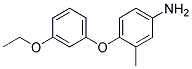 4-(3-ETHOXYPHENOXY)-3-METHYLANILINE CAS#: 946698-89-1