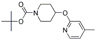 4-(4-Methyl-pyridin-2-yloxy)-piperidine-1-carboxylic acid tert-butyl ester CAS#: 944390-87-8