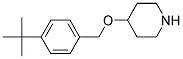 4-([4-(TERT-BUTYL)BENZYL]OXY)PIPERIDINE CAS#: 946681-43-2
