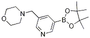 4-((5-(4,4,5,5-tetramethyl-1,3,2-dioxaborolan-2-yl)pyridin-3-yl)methyl)morpholine CAS#: 919347-16-3